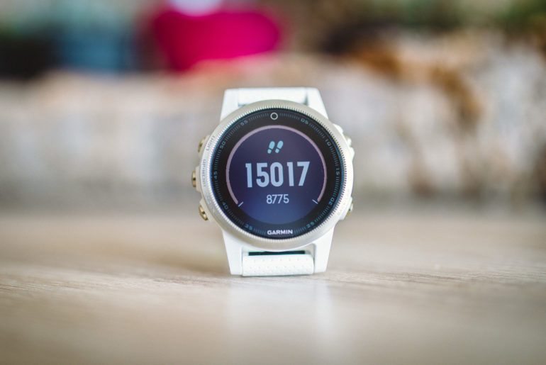 Garmin Fenix 5S Saphire - Schrittzähler
