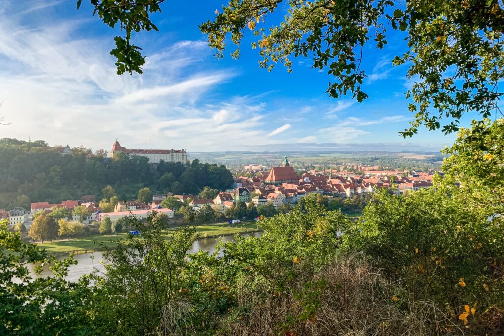 Blick über Pirna